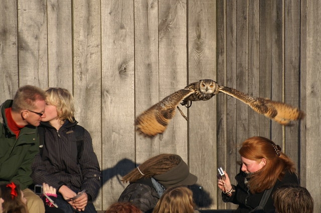 Archeon026.jpg